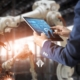 A chave para que uma indústria se destaque no mercado é a utilização de um Outsourcing Contábil inteligente com a tecnologia ERP Protheus. Veja como aplicar isso na sua indústria e como isso pode ser um diferencial no seu negócio. – ATLAS Contabilidade