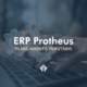 Erp protheus